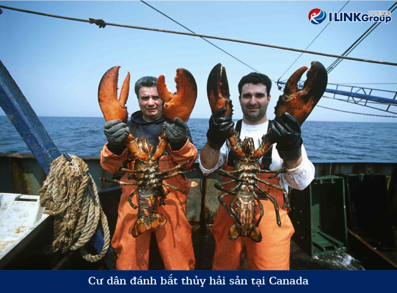 Đánh bắt thủy hải sản tại Canada